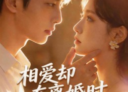 【相爱却在离婚时】61集短剧免费在线赏剧