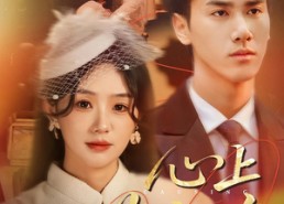 【心上惹尘埃】57集短剧免费在线赏看