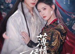 【薄情侯爷痴情妾】80集在线短剧免费全集览