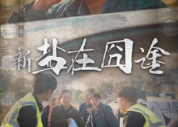 【盐在囧途】46集在线免费看短剧全集