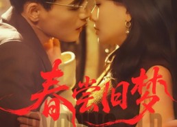 【春尝旧梦】75集短剧免费在线播放无阻