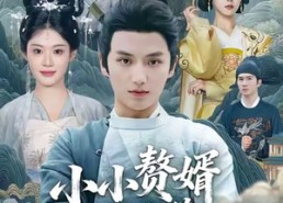 【小小赘婿不好惹】64集短剧免费在线观赏