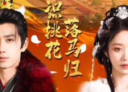 【旧识桃花落马归】60集在线短剧免费高清看