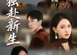 【她独赴新生】64集短剧免费全集畅快观看