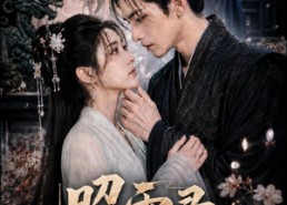 【昭雪录：明昭纪事】20集短剧免费高清在线看