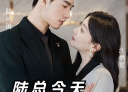 【陆总今天吃醋了吗】50集高清短剧全集免费观瞧