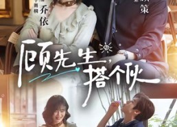 【顾先生，搭个伙】81集短剧免费全集乐看