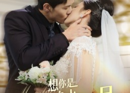 【想你是三分泉水七分月】84集短剧免费全集追