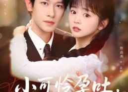 【小可怜孕吐，付爷掌心娇宠】74集免费短剧在线赏看