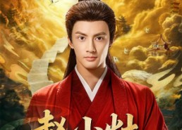 【赵小灶升职记】80集短剧完整版在线观看