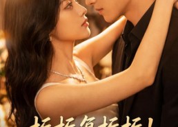 【栀栀复栀栀！情深不负旧人归】46集短剧在线流畅播放