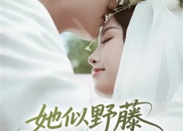 【她似野藤，缠绕而上】51集在线短剧免费全集览