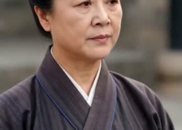 【夺凤途】49集短剧全集免费在线赏