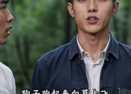【重生之李阳闯八零】172集短剧免费高清在线看