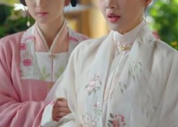 【明月入卿怀】65集短剧精彩内容在线观