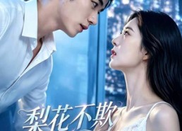 【梨花不欺少年棠】45集短剧在线完整观看