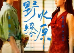 【野火燎原】72集免费短剧全集畅看无阻