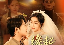 【缘起错位时】60集免费短剧在线看全集