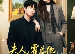 【夫人，霍总他真不想离婚】65集热门短剧在线观瞧