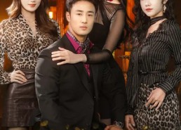 【入莞投奔姐姐后，我靠贴贴横扫一切】80集短剧在线无卡顿免费看