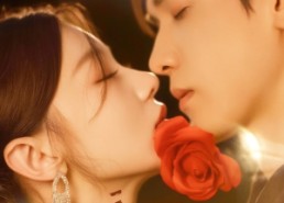 【入夜玫瑰】80集免费短剧高清全集观