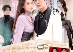 【领证错付后，我悔不当初】80集短剧免费完整速看