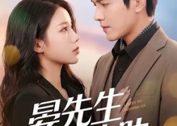 【晏先生的软肋】79集短剧在线免费观映