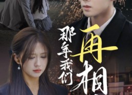 【那年我们再相逢】65集免费短剧在线瞧看