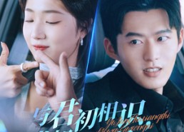 【与君初相识，犹如故人归】51集短剧资源在线速看