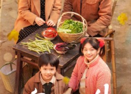 【家里家外】79集短剧在线免费观览