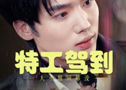 【特工驾到大小姐闹够没】40集在线短剧免费赏播