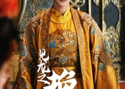 【见龙之挽天倾】65集短剧免费在线瞧看