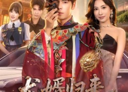 【龙婿归来，我给总裁老婆当司机】80集短剧免费高清观看