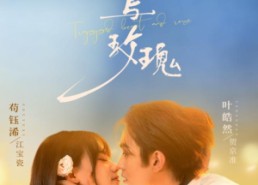 【困兽与玫瑰】90集短剧免费在线畅看全集