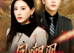 【凤嘲凰】83集短剧免费全集线上观赏