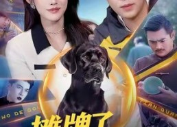 【摊牌了，我的狗是哮天犬】98集全集短剧在线免费畅看