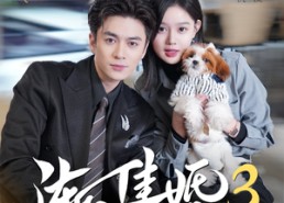 【渐入佳婚3第三部】60集短剧无删减在线播放