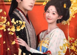 【岁岁与君欢】62集短剧免费高清在线看