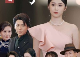 【婆婆寿宴我的老公杀疯了】32集免费短剧在线看全集