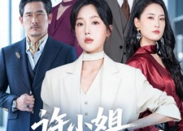 【许小姐 高调辞职了】57集短剧全集免费畅看