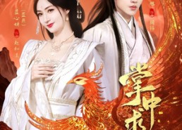 【掌中求鸾】80集全集短剧免费在线欣赏