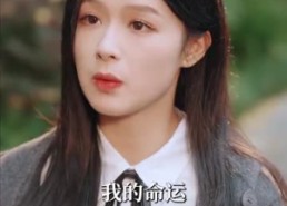 【情陷港城】免费短剧100集在线观赏