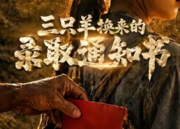 【三只羊换来的录取通知书】40集短剧在线免费观享