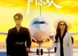 【初见乍惊欢】60集免费短剧在线畅快看