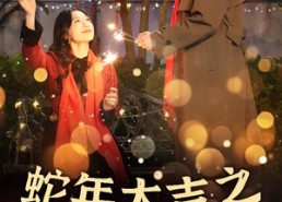 【新年之假戏真做】40集在线短剧免费观看