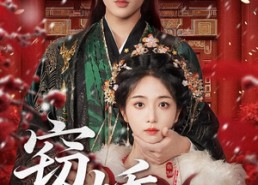 【窃娇】77集高清短剧在线免费看