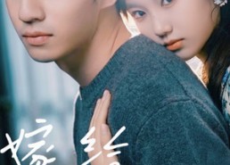 【嫁给家规热友】80集短剧完整版在线免费看