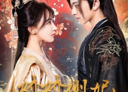 【娇娇侧妃升职记】49集短剧在线免费畅看