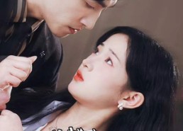 【冰山总裁夫人带娃跑】89集在线看短剧全集