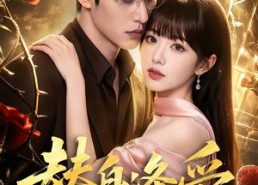 【替身逢爱】60集短剧全集在线高清畅享